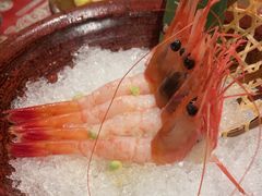 -古田居·特色寿司料理(骏欣中心店)