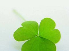 -长春公园(普阳街道)