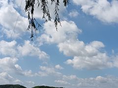 -济南国际园博园