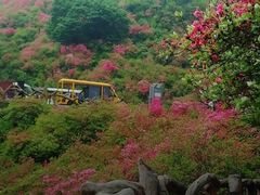 -木兰云雾山
