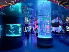 -左海海底世界