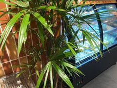 -巴卤社老火锅(财富店)