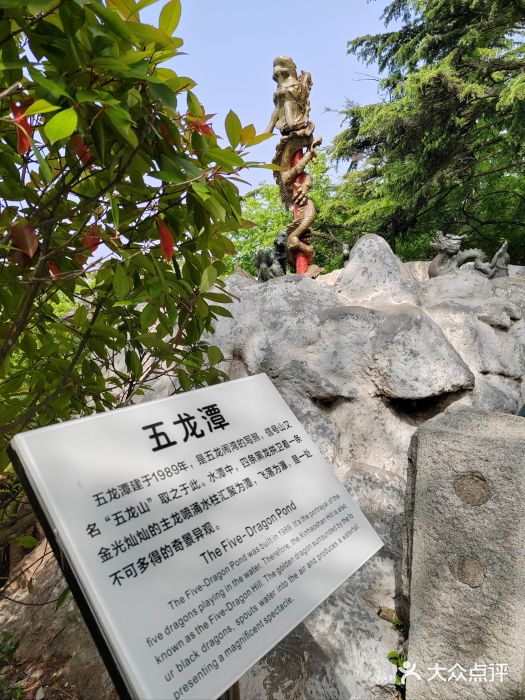 信号山公园图片