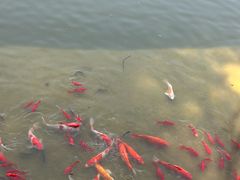 -建水文庙