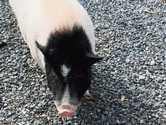 -小时光咖啡馆(开森度假森林店)