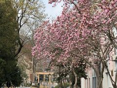 -浙江大学(玉泉校区)