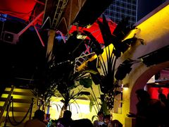 -CLUB VIVA(购物公园店)