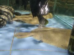 -百丈园(陈村店)