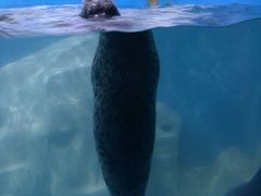 -多彩贵州城极地海洋世界