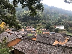 -杨家堂村