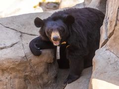 -石家庄市动物园