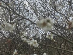 -广东天露山旅游度假区