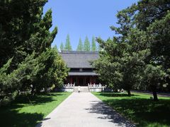 -嘉定紫藤园