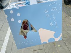 -山与蓝·轻糖鲜果蛋糕(勒泰店)