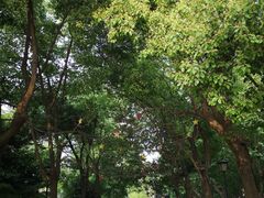 -江墅铁路遗址公园