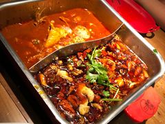 -舒来喜鱼锅(伊河路店)