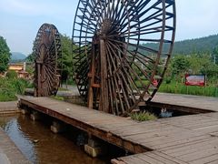 -印象鲵宴·张家界地标美食名片(溪布街店)