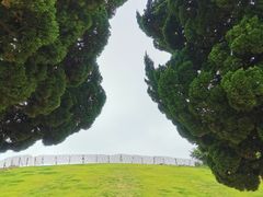 -小麦岛公园