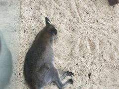 -海合安武汉极地海洋公园