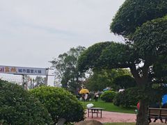 -荷兰花海
