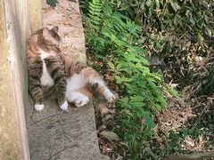 -杭州半山国家森林公园