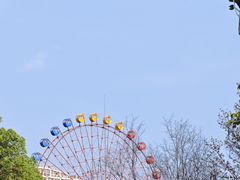 -成都南湖公园