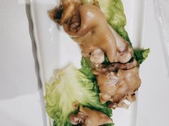 -丁老爷子苏香圆