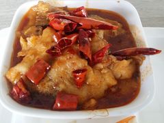 -北京大学肿瘤医院