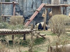 -五龙山野生动物王国