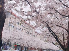 -永乐路-路侧停车场