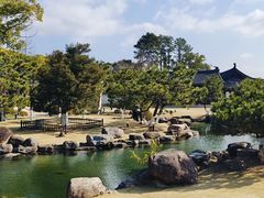 -江心屿景区