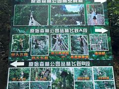 -西双版纳原始森林公园