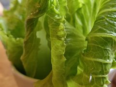 -香猪坊(五道口店)