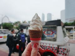 -富豪雪糕车流动点(尖沙咀店)