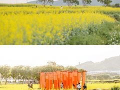 -光明小镇欢乐田园