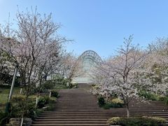 -南山植物园