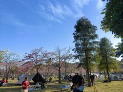 -风云岭森林公园