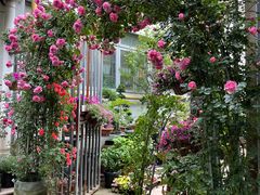 -双季花艺园艺市场(浦东店)