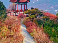 -十三陵水库