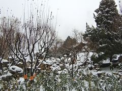 -北京市劳动人民文化宫(太庙)