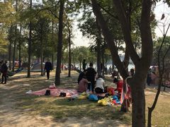-美兰湖景区