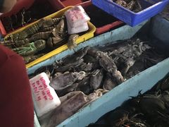 -仙本那小型鱼市