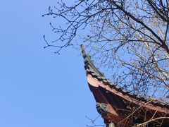 -丝绸小镇荻港古村