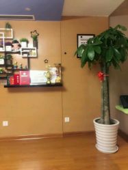 -悦妍韩式半永久纹眉纹绣