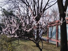-玲珑塔公园