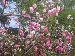 -上海市龙华烈士陵园