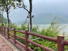 -羚羊峡古栈道森林公园