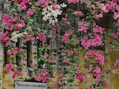 -广州市紫泥堂文化创意园景区
