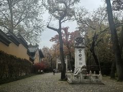 -灵谷景区