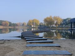 -上海佘山世茂艾美酒店